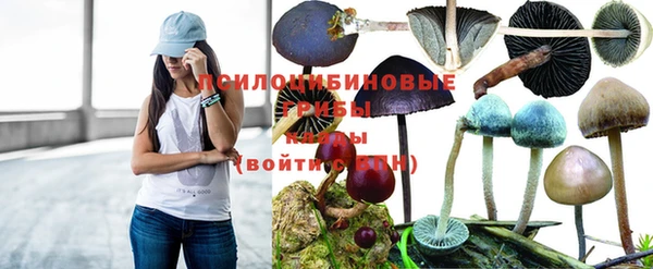 прущий лед Волосово